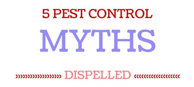 5 Pest Control Myths — Louisiana — DA Exterminating