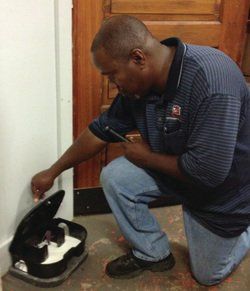 Technician Setting Up A Mouse Trap — Louisiana — DA Exterminating