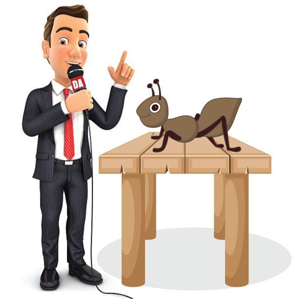 Animated Presentation Of Ant — Louisiana — DA Exterminating