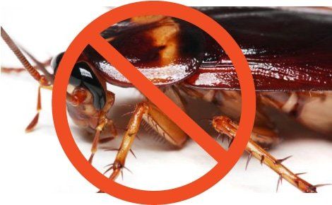 No Cockroaches Sign  — Louisiana — DA Exterminating