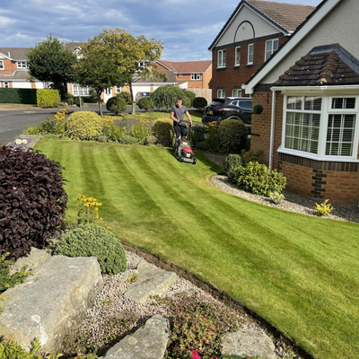 Striped freshly mowed front lawn