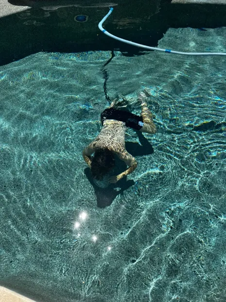 Person swimming underwater in a blue pool, a blue hose above.