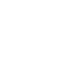 Phoenix Point Logo