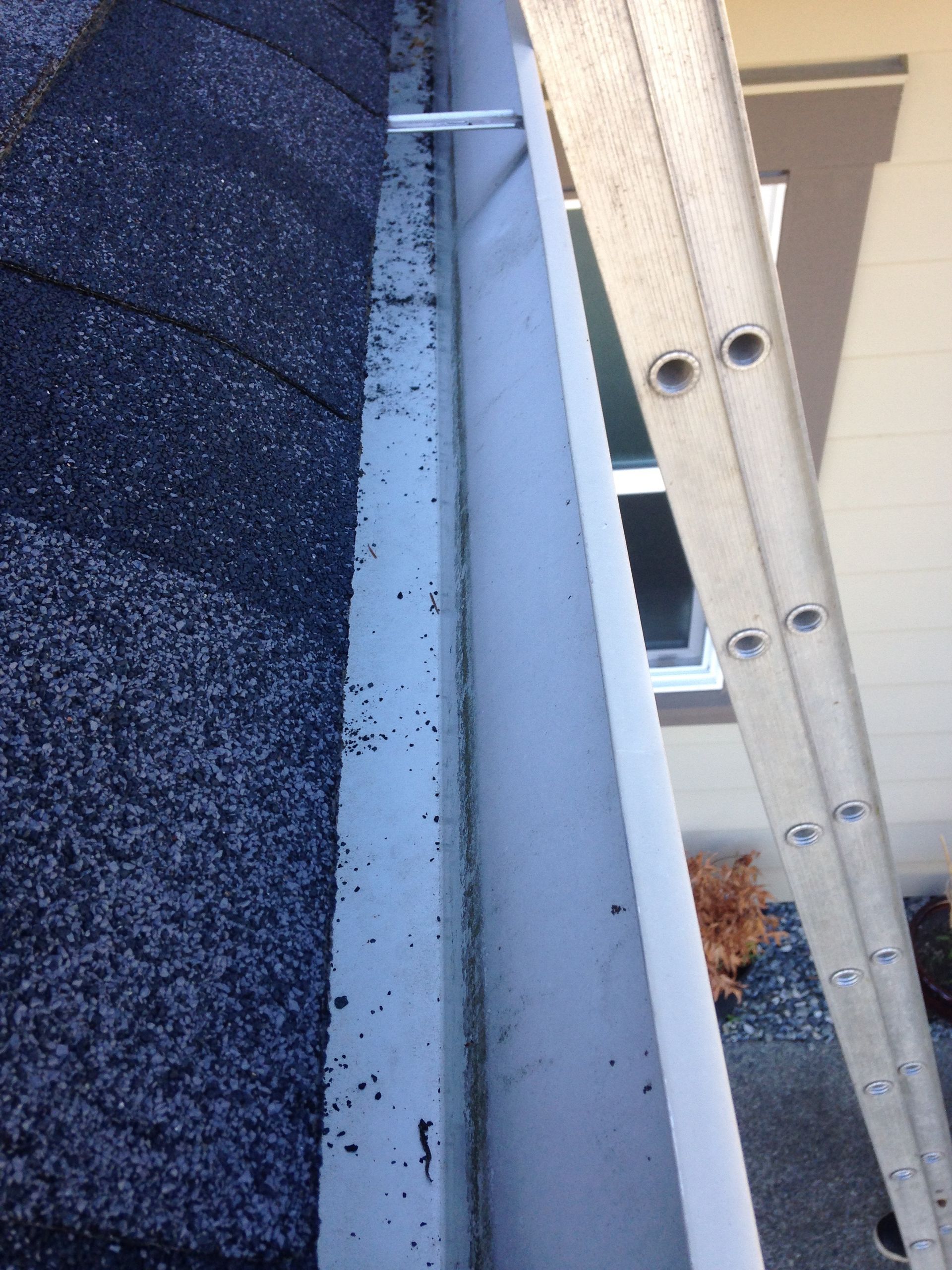 gutter cleaning and moss removal vancouver bc