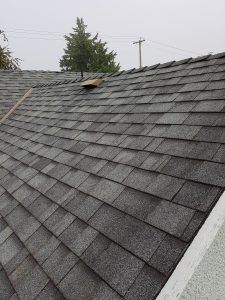 roof cleaning surrey bc