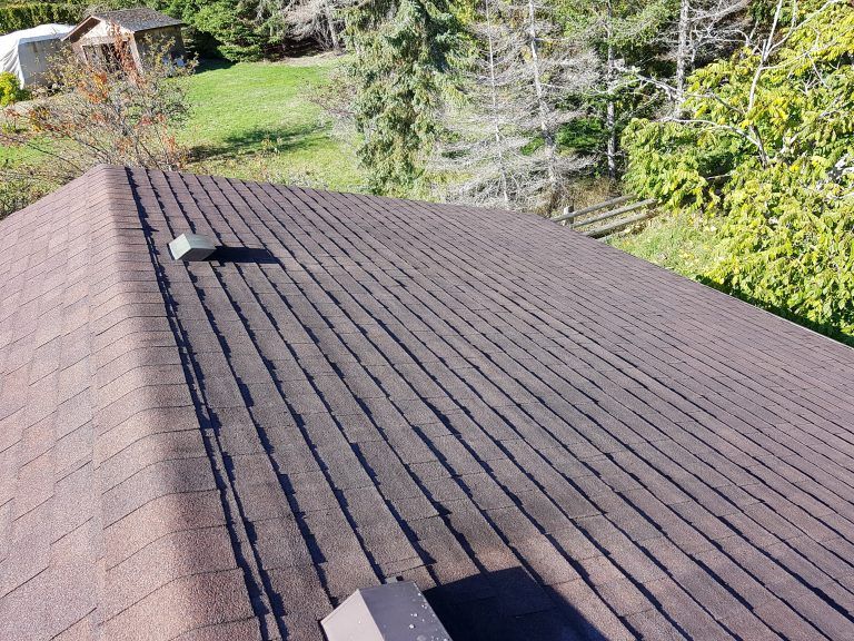 roof cleaning coquitlam bc