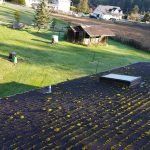 roof moss removal north vancouver