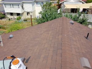 moss removal vancouver