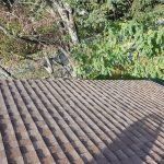 roof cleaning abbotsford bc