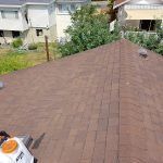 roof cleaning new westminster
