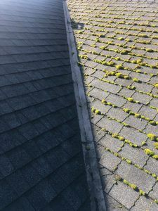 roof cleaning richmond bc