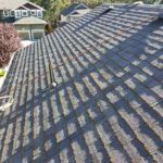 roof cleaning vancouver