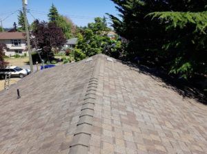moss removal vancouver bc