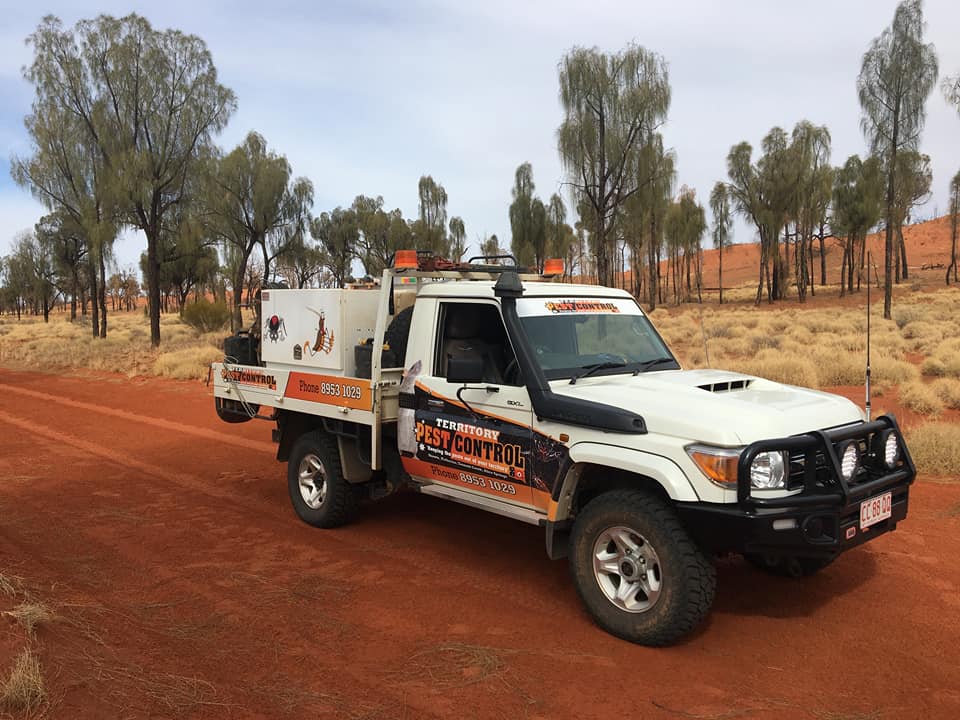 Pest Control in Darwin Territory Pest Control