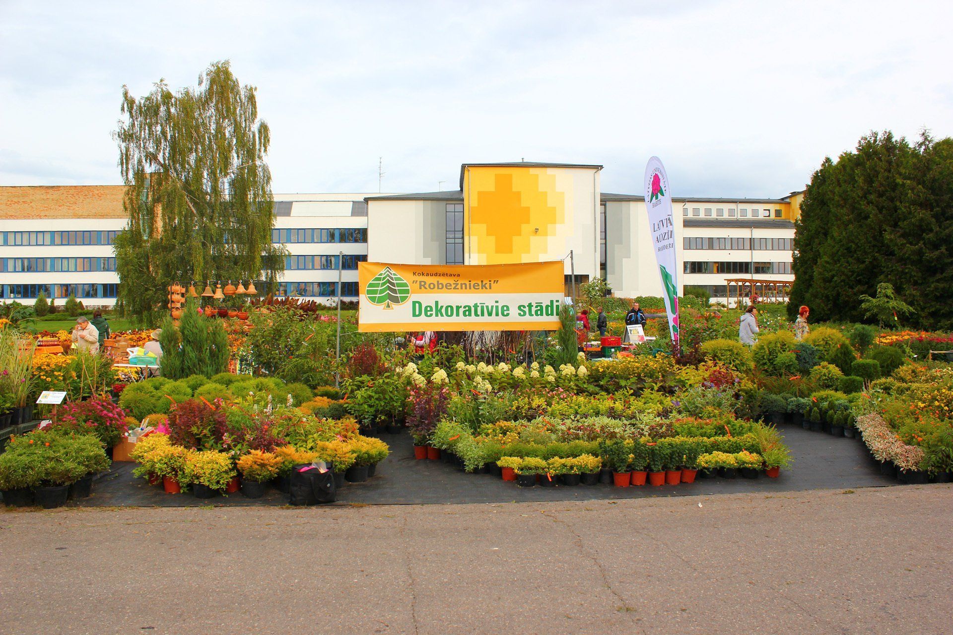 Kokaudzētava