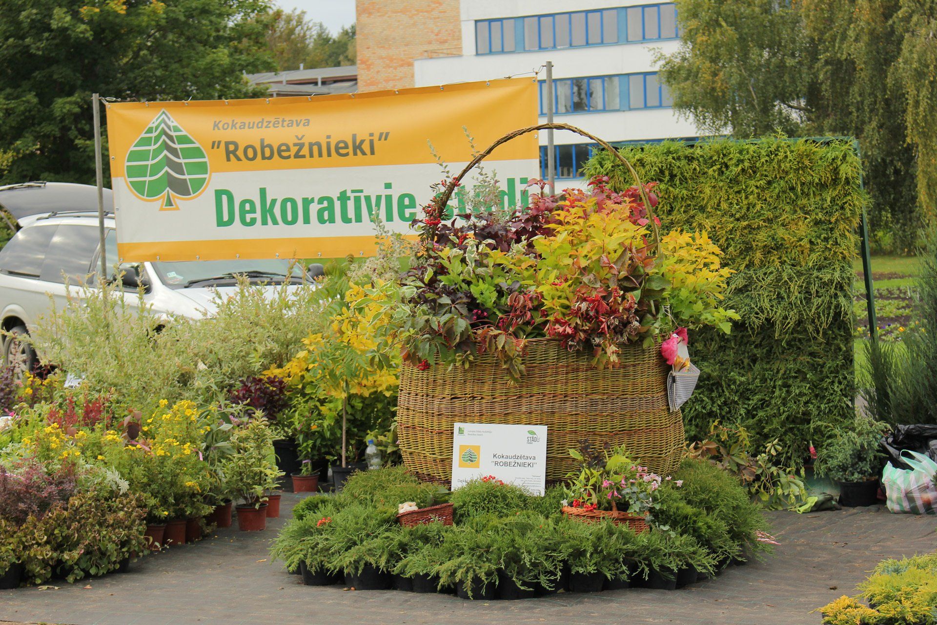 Dekoratīvie stādi
