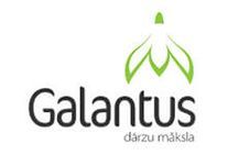 Galantus