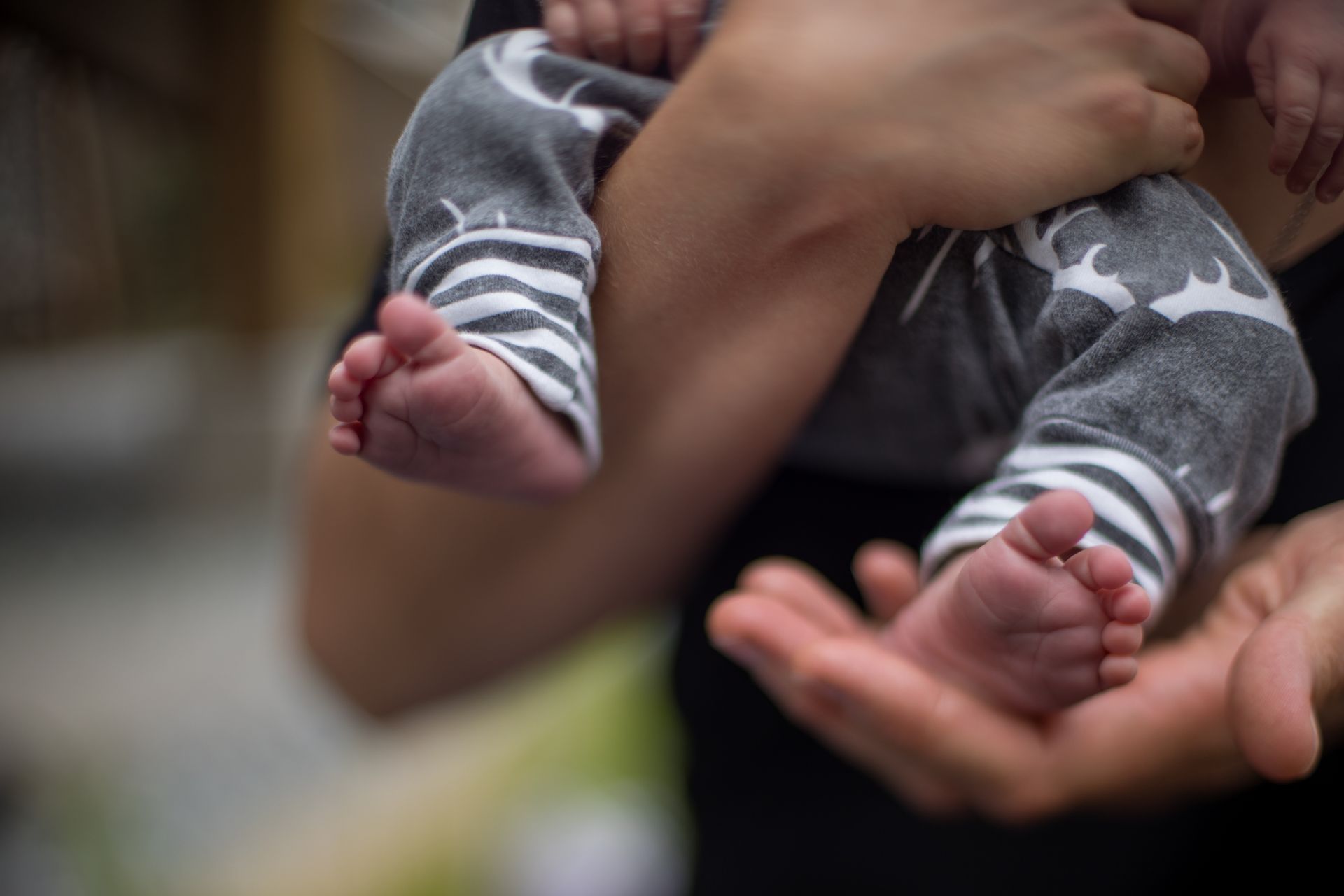 Close-up of baby's tiny feet and legs in gray pants, held by adult's hands.
