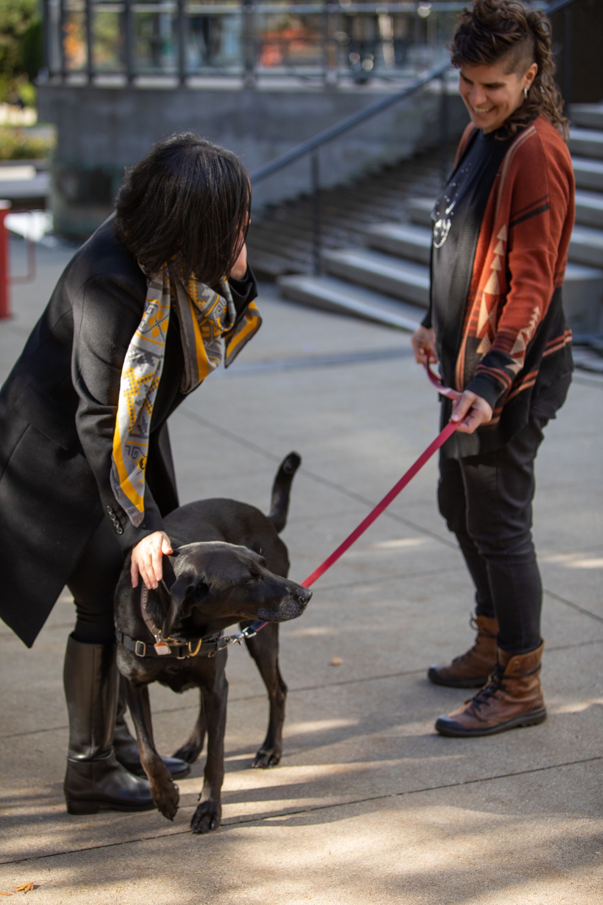 Two persons are walking a black dog on a leash.