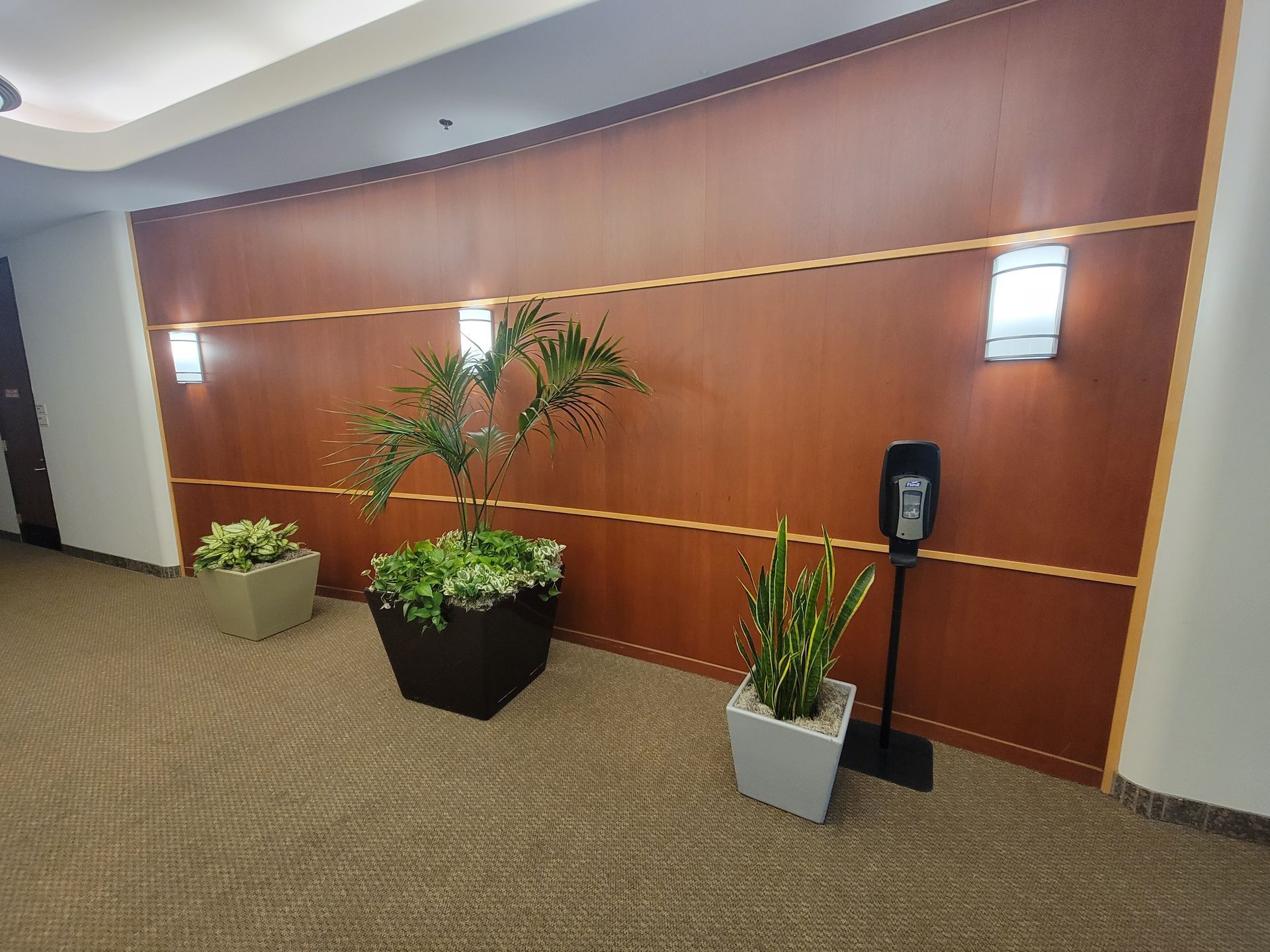 A hallway with potted plants and a hand sanitizer dispenser.