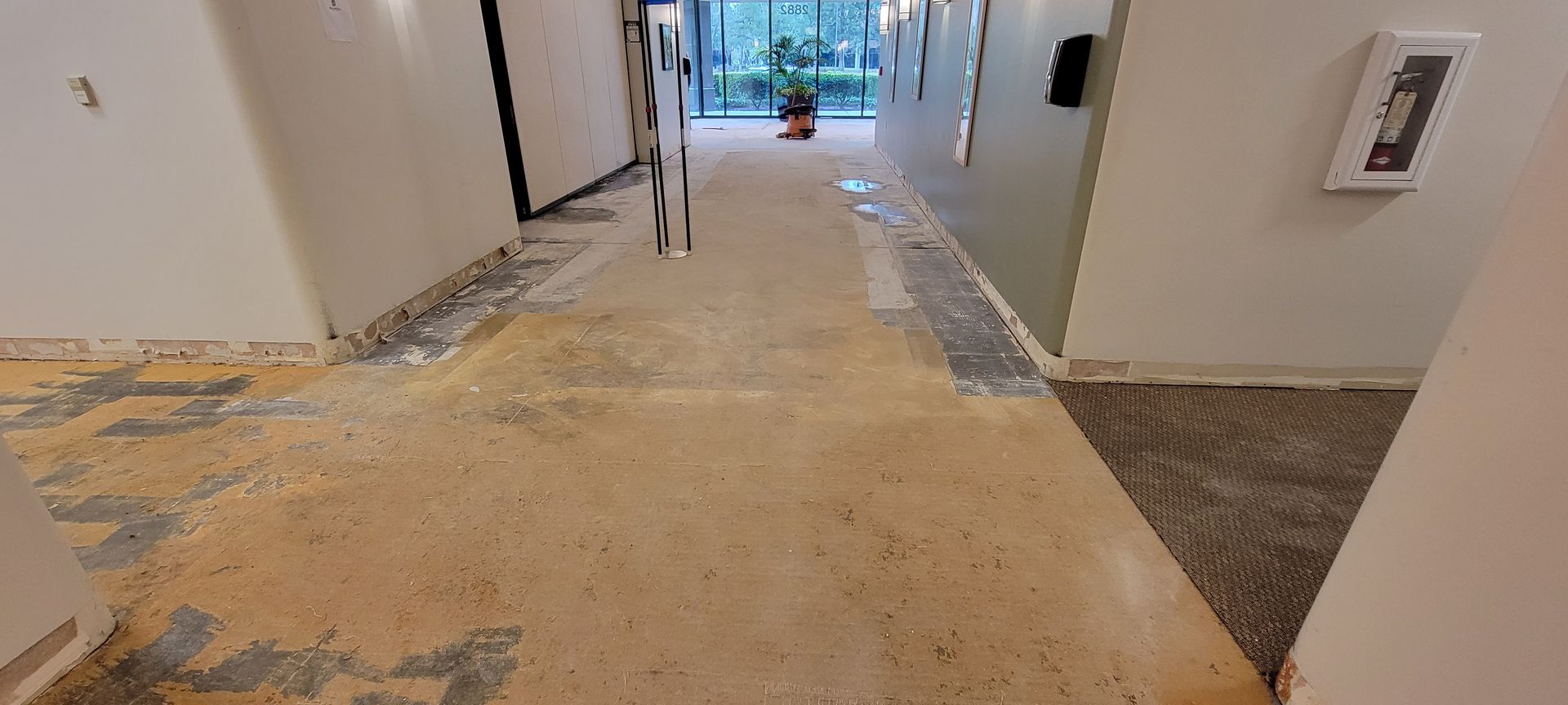 A hallway with a carpeted floor and a fire extinguisher on the wall.