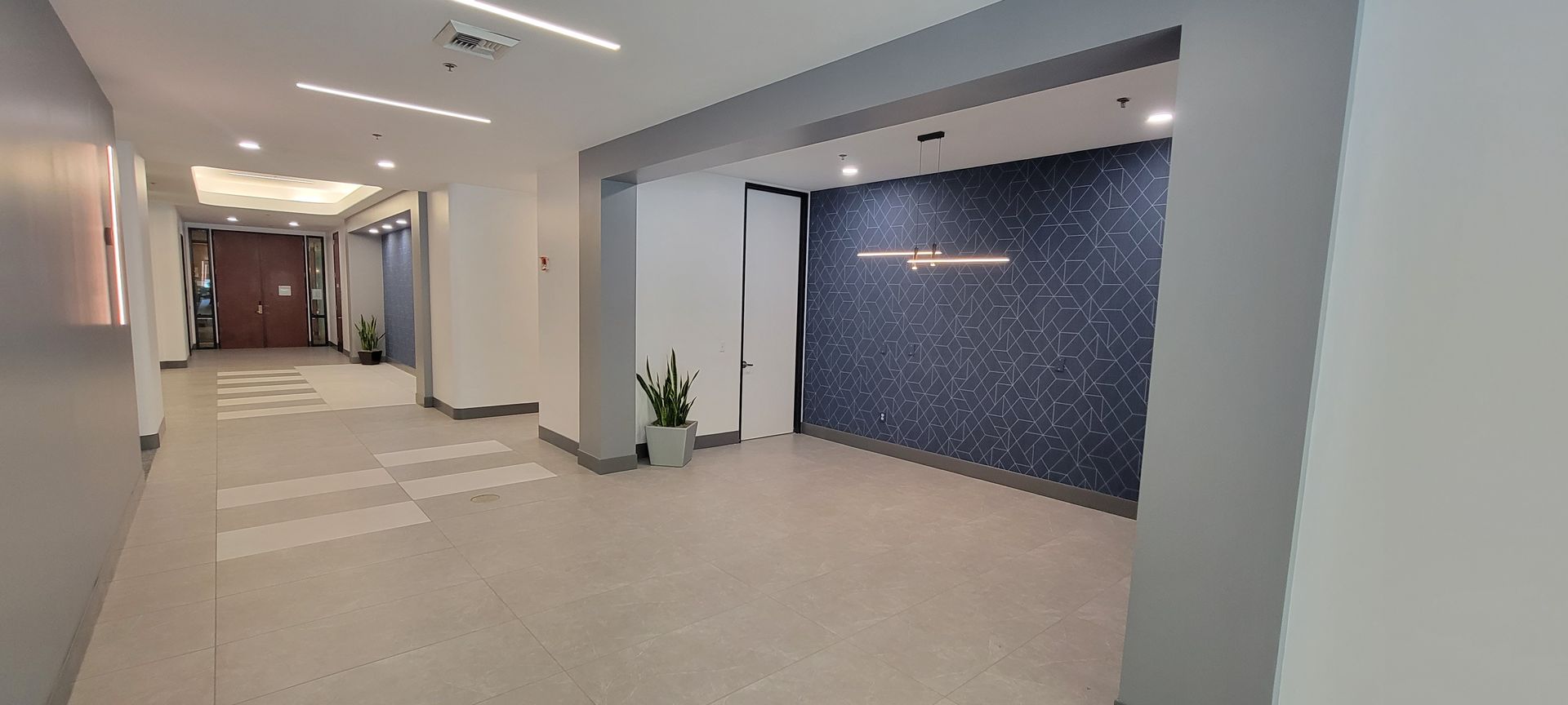 There is a plant in the middle of the hallway.