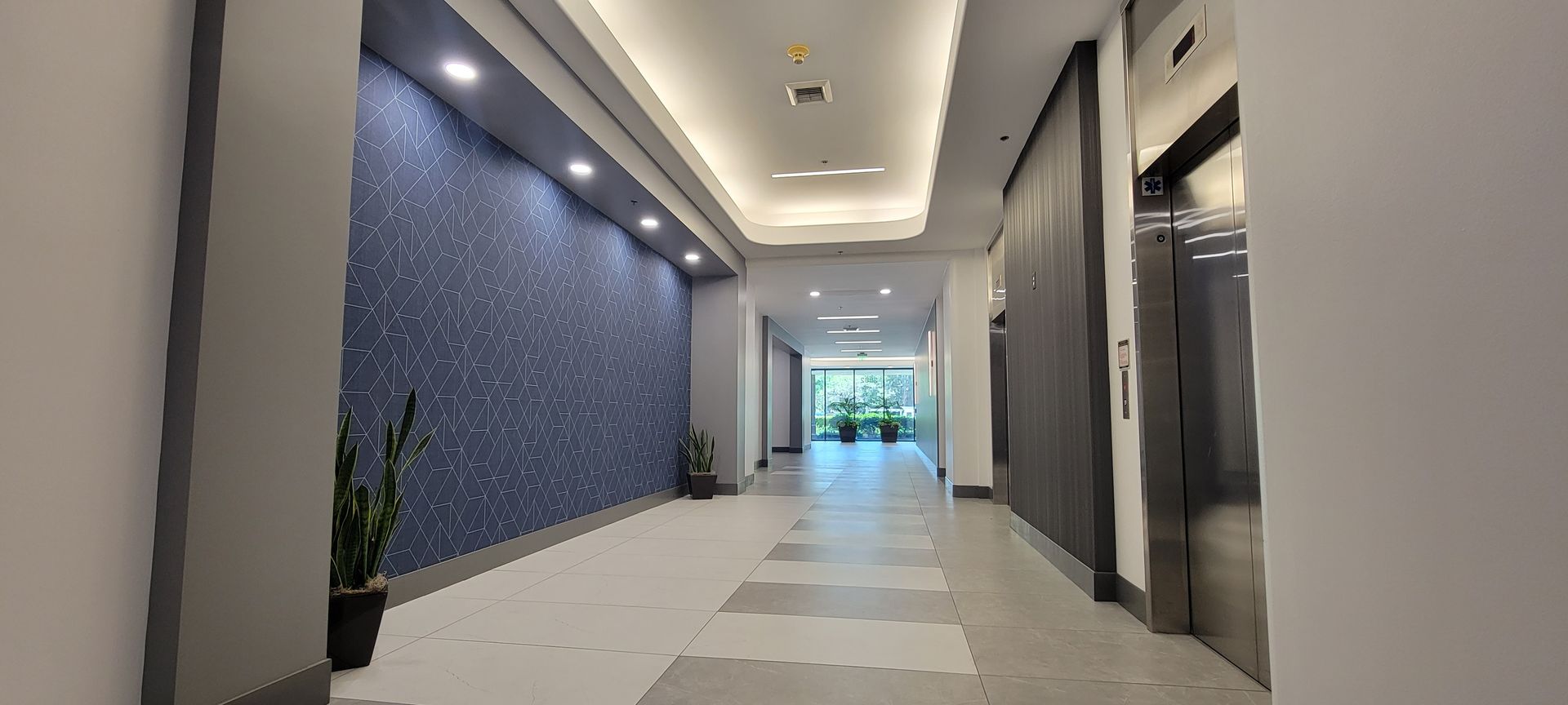 A long hallway in a building with a plant in the middle.