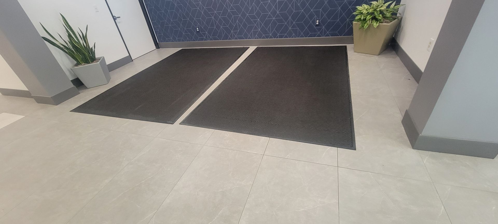 A black mat is on the floor in a room next to a potted plant.