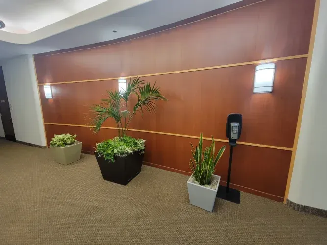 A hallway with potted plants and a hand sanitizer dispenser.