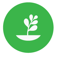plant suppliers