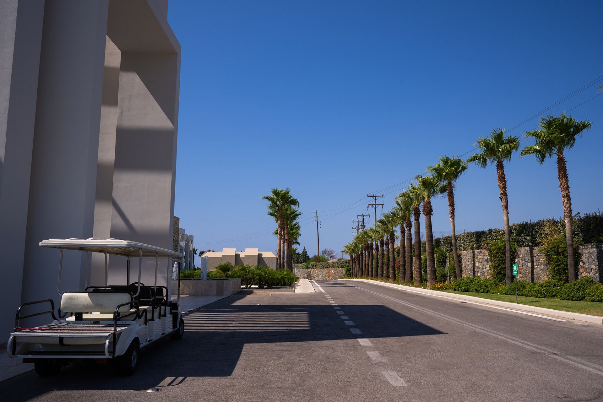 Golf cart parked next to a white building; road with palm trees under a blue sky.