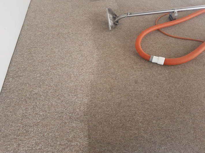 BM Carpet Cleaning in Wollongong