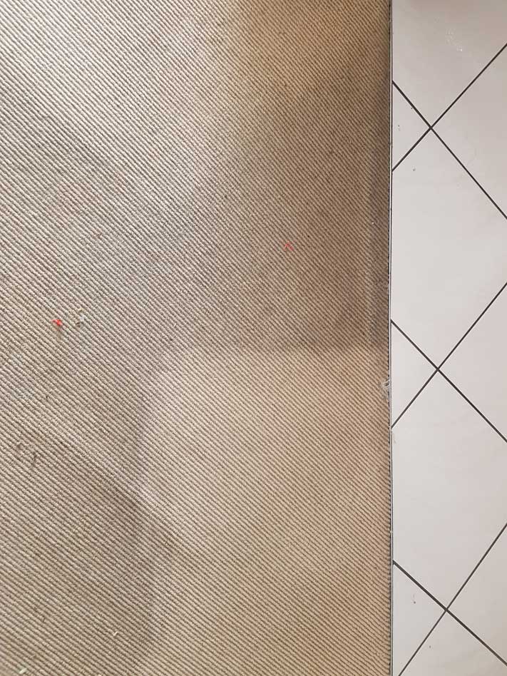 Carpet and tiles — Carpet Cleaning in Wollongong, NSW