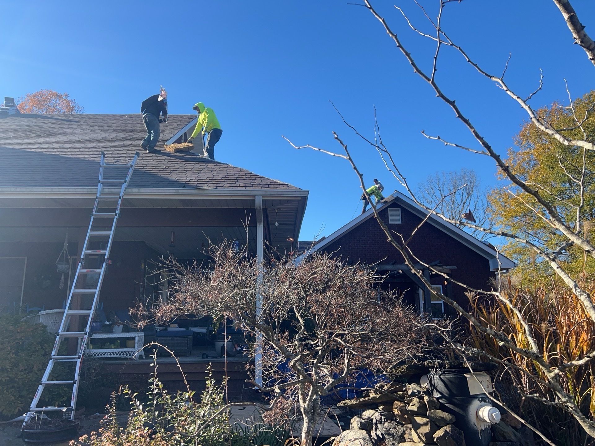 Workers on a roof with a ladder, blue sky overhead, trees in the yard.