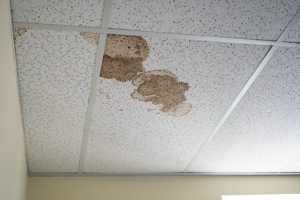 A Ceiling With a Few Spots of Dirt Because of Leaks — Stephen Meaker Roofing in Wagga Wagga, NSW
