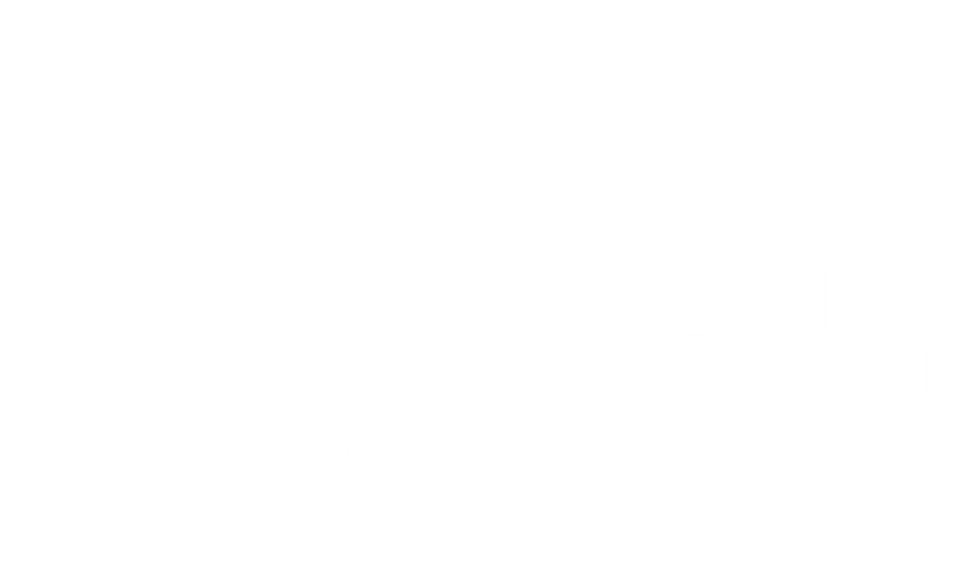 A white logo on a white background that says emerald ltd.