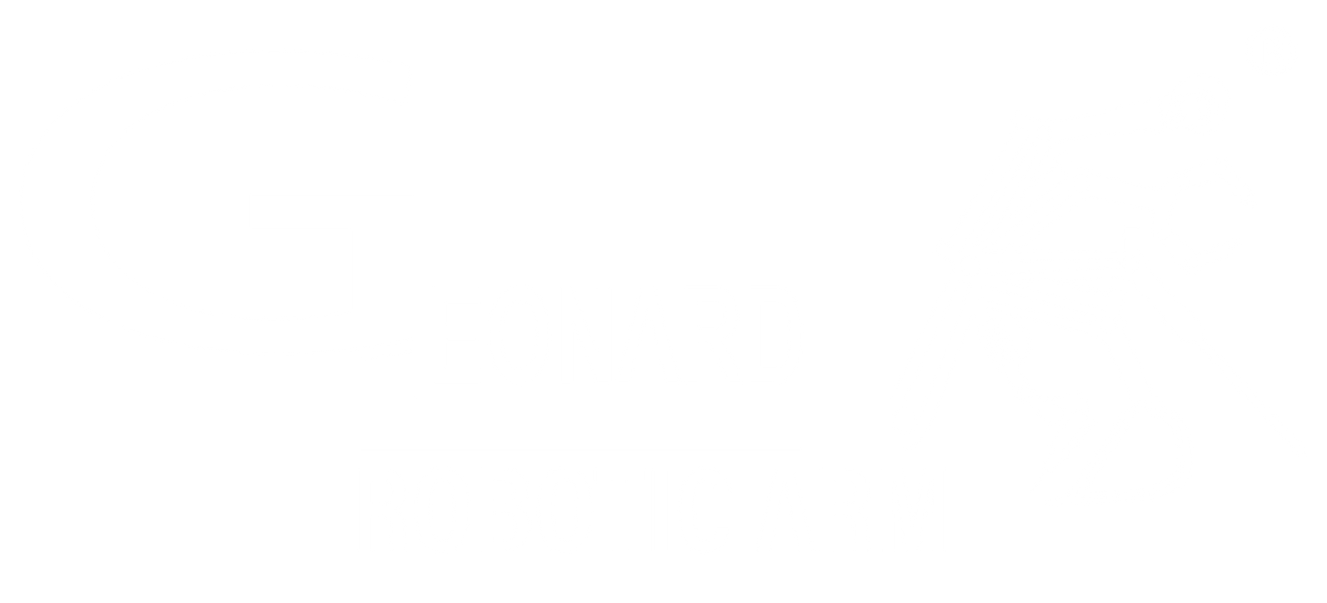 A white logo on a white background that says emerald ltd.