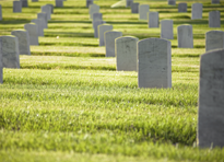 image-145293-homepg2.png?1418919122382