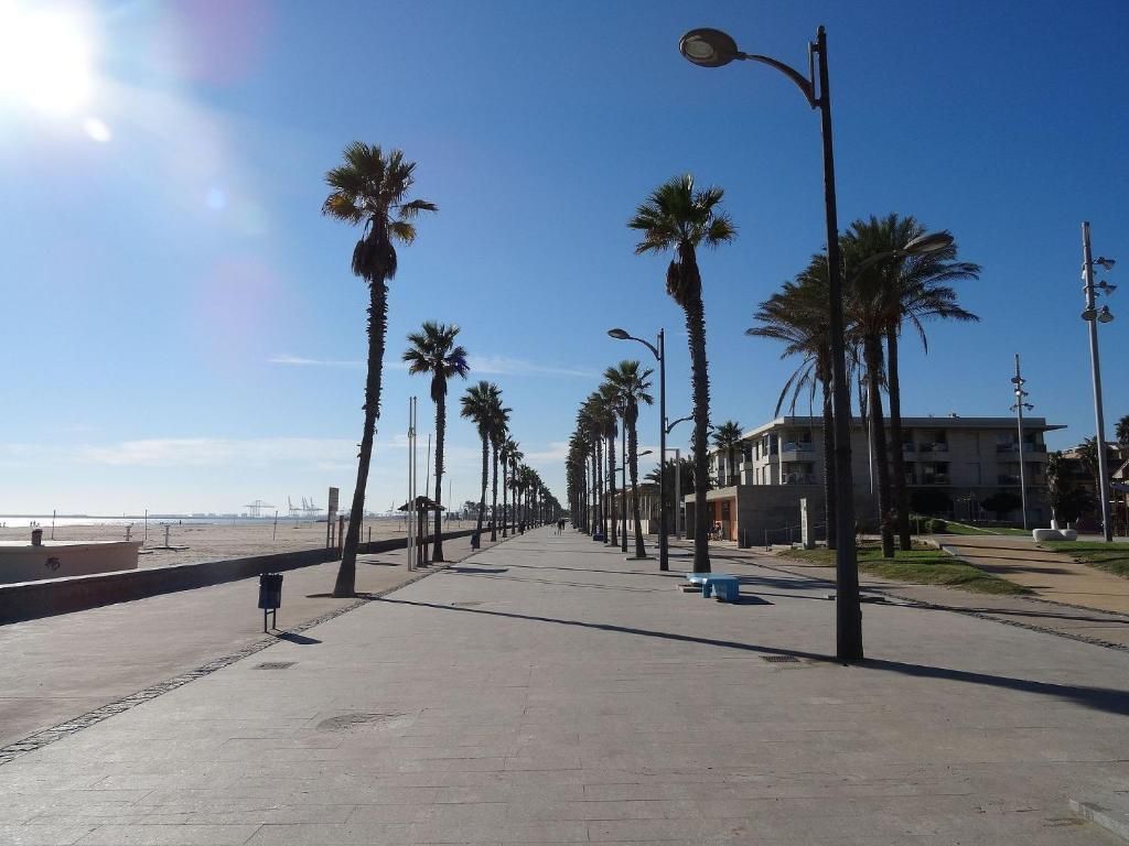 A sunlit concrete promenade lined with tall palm trees beside a beach under a clear blue sky.
