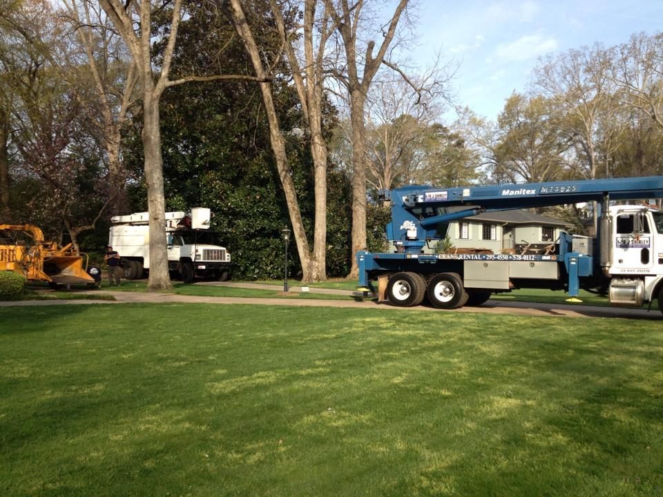 Two utility trucks on a grassy area by trees, likely for tree trimming or maintenance.