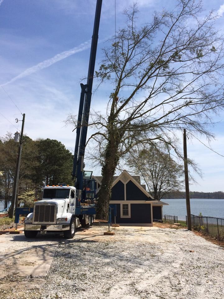 A large crane cutting a tree near a dark blue building and a body of water under a blue sky.