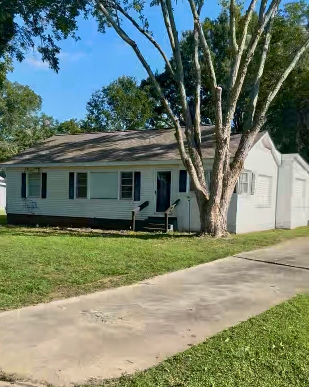 White house with blue shutters, driveway, and large tree in the front yard on a sunny day.