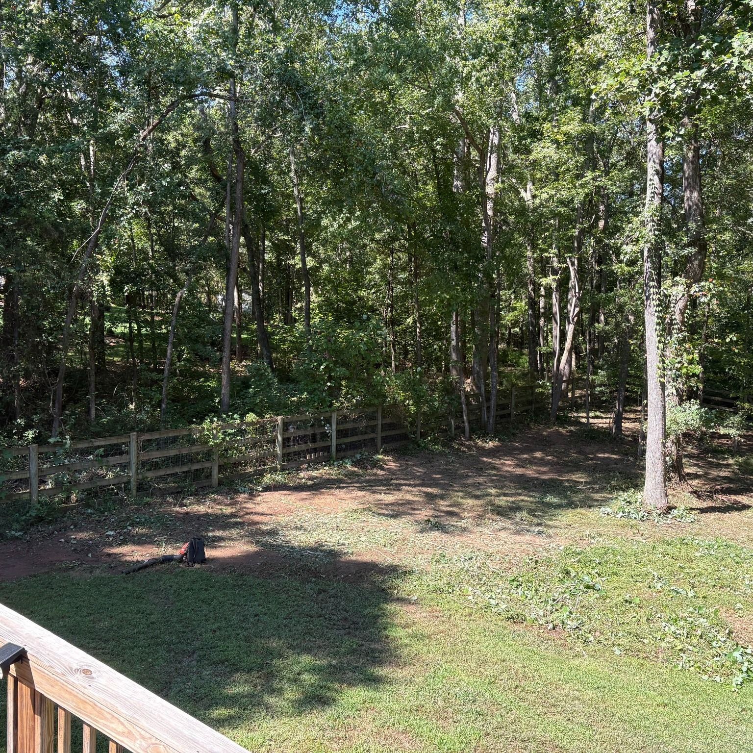 Backyard with a wooden fence, trees in the background, and a grassy area in front.