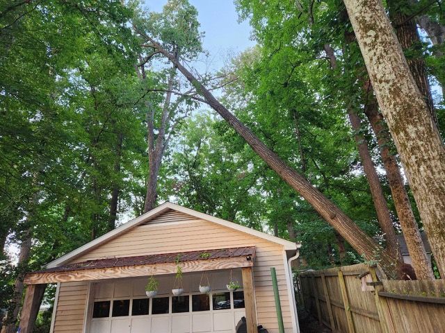 A tall tree leans precariously over a beige garage; blue sky, green leaves, brown wood.