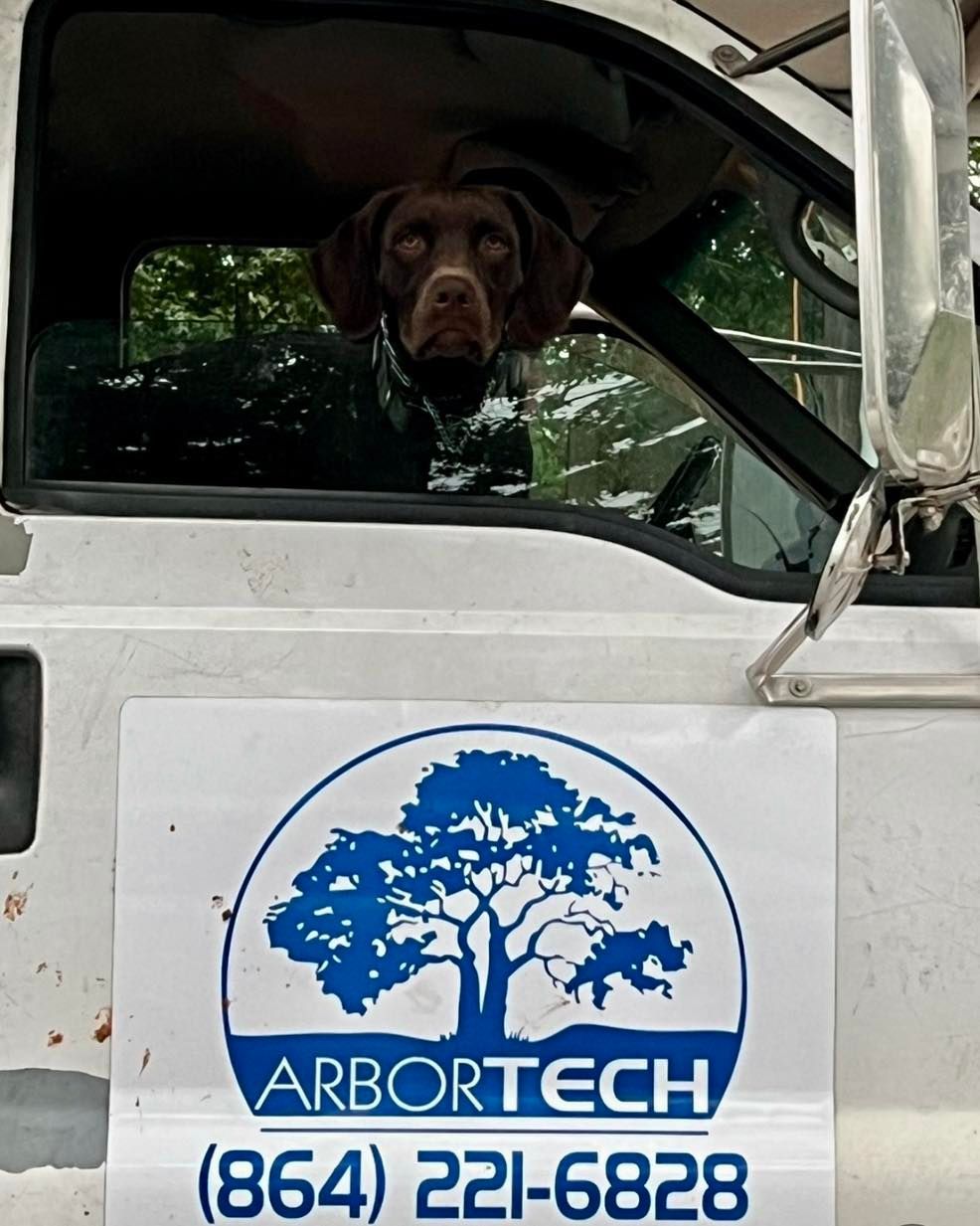 A brown dog in a white ArborTech truck cab, looking out the window.