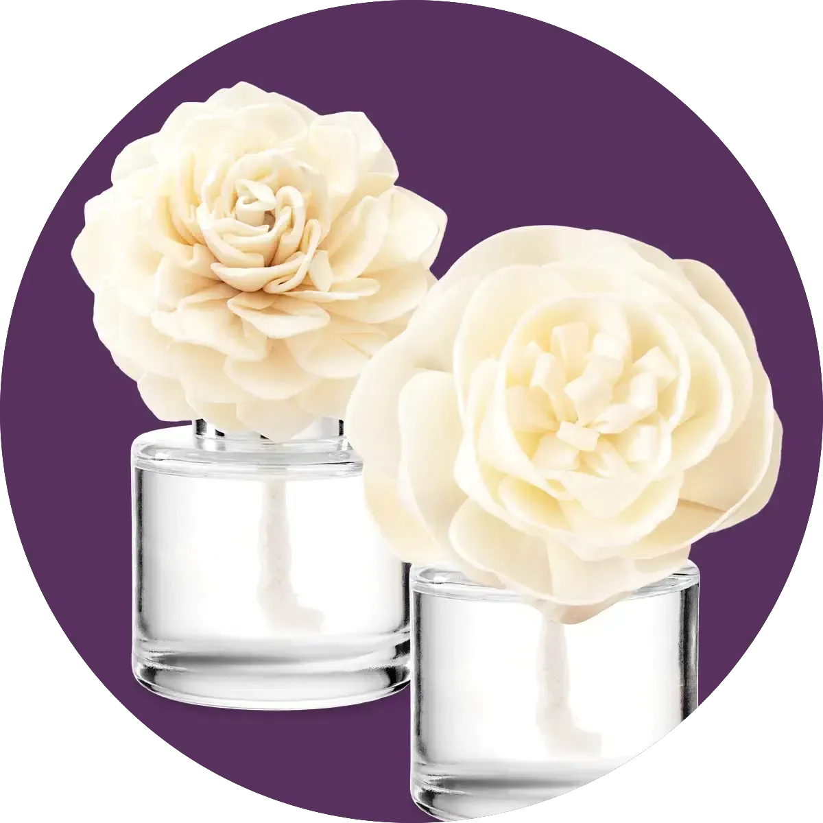 Fragrance Flower image