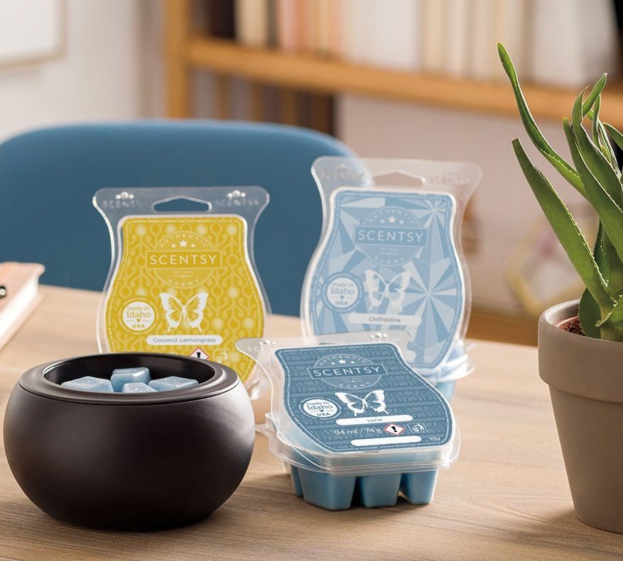 Warmer and Wax Bars Image
