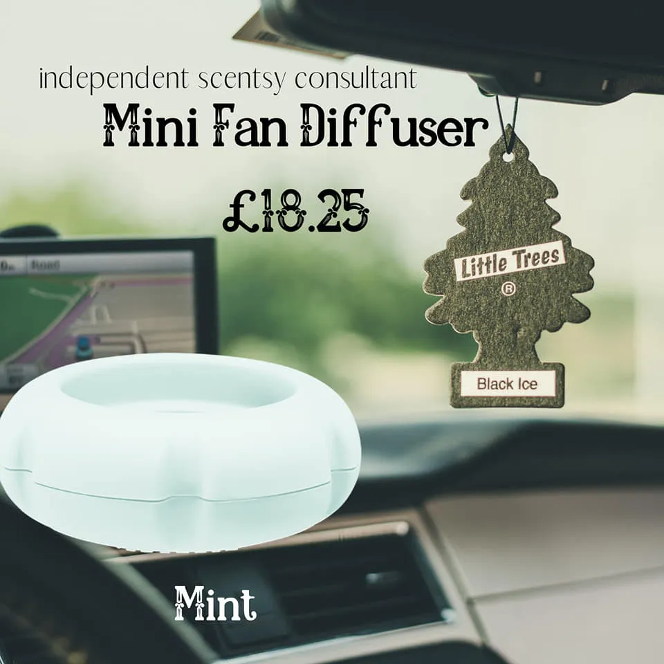 Mini Fan Diffuser