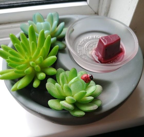 Scentsy Little Garden Warmer