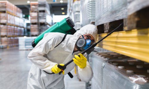 Service de dératisation et désinfection pour professionnels